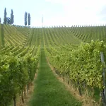 Wirtshaus Restaurant Steirerland Hotel 3*