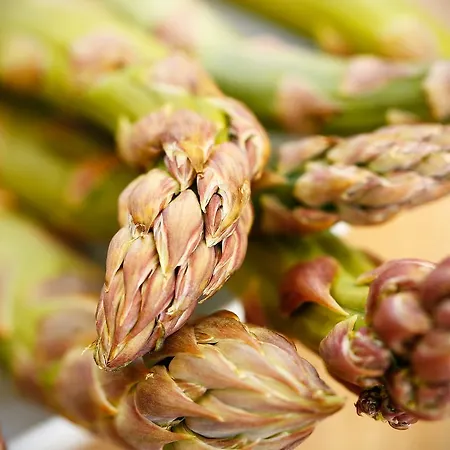 Wirtshaus Restaurant Steirerland 호텔 3*