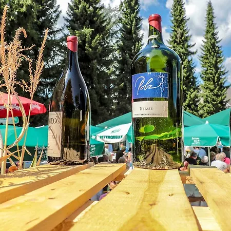 מלון Wirtshaus Restaurant Steirerland 3*