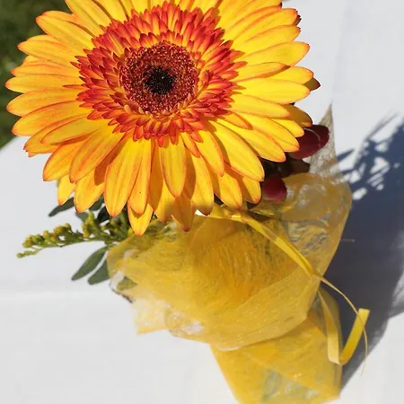 호텔 Wirtshaus Restaurant Steirerland