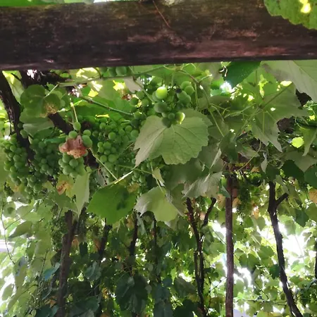 Hotel Wirtshaus Restaurant Steirerland Mureck