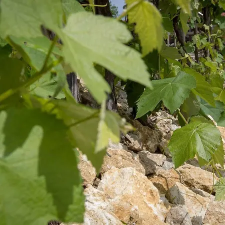 Wirtshaus Restaurant Steirerland Hotel