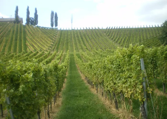 Wirtshaus Restaurant Steirerland 酒店 3*