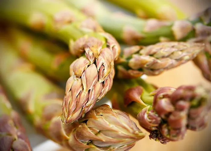 Wirtshaus Restaurant Steirerland فندق 3*