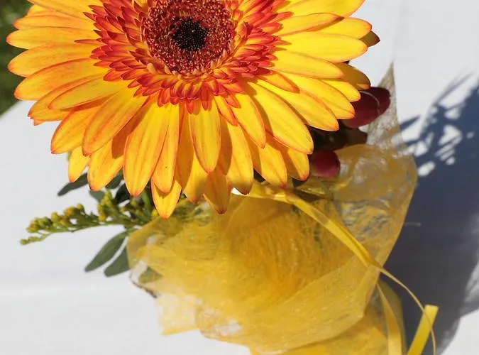 酒店 Wirtshaus Restaurant Steirerland