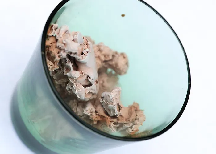 فندق Wirtshaus Restaurant Steirerland 3*