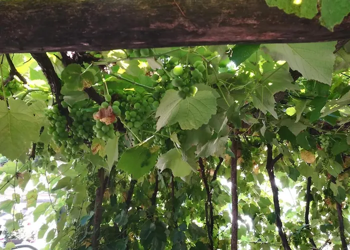 酒店 Wirtshaus Restaurant Steirerland 穆勒克