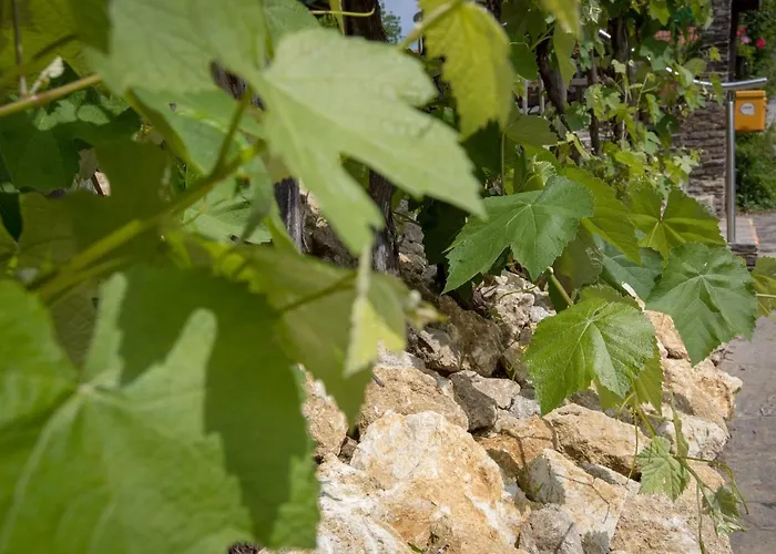 Wirtshaus Restaurant Steirerland 酒店